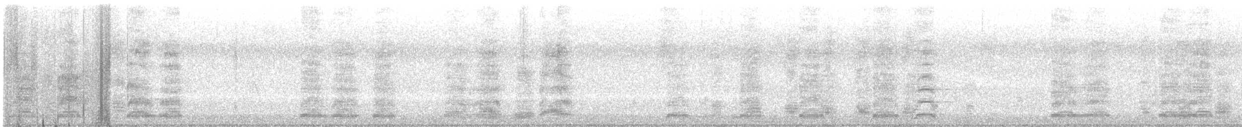 Graylag Goose (Domestic type) - ML647746738