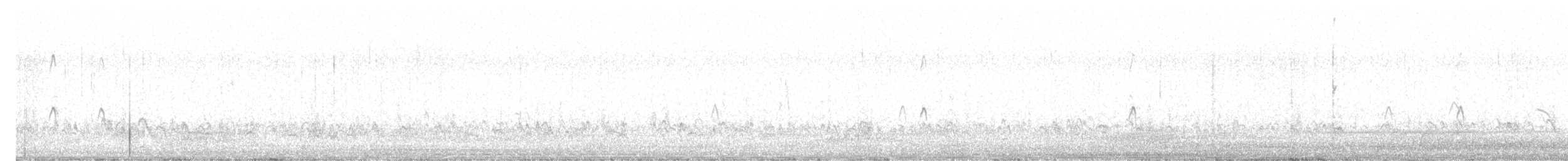 Chestnut-bellied Sandgrouse - ML647747075