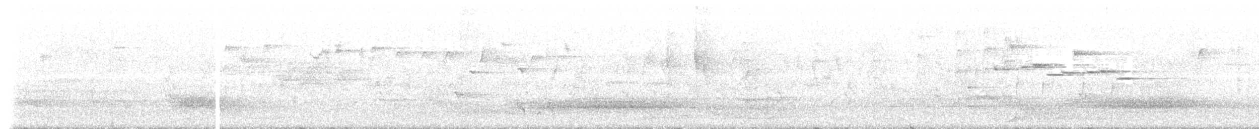 Paradise Riflebird - ML647747868