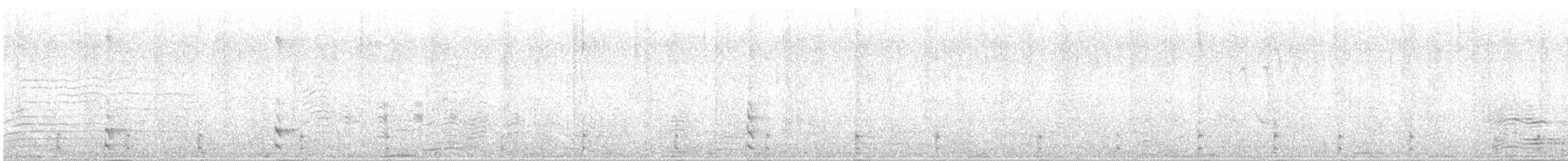 Uroilo arrunta - ML647748027