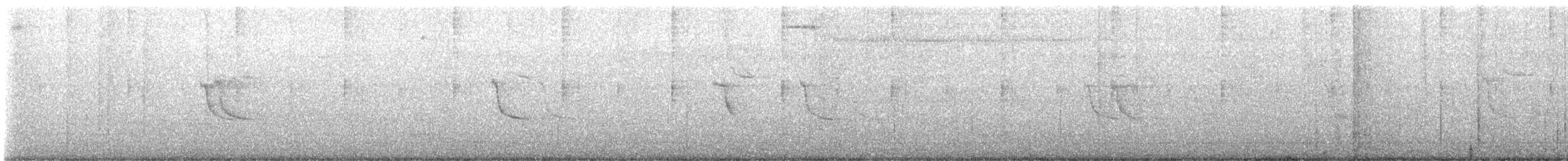 Asian Glossy Starling - ML647748106