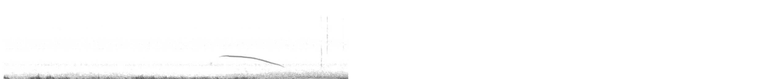 Karoo Long-billed Lark (Karoo) - ML647748480