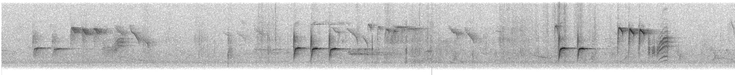 Txonta arrunta - ML647748582