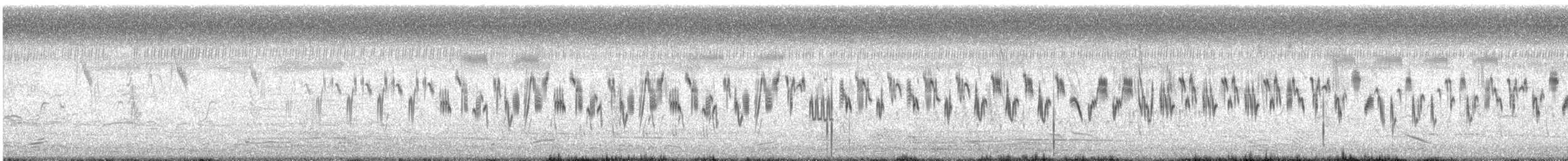 Hegatxabal ekialdetarra - ML647748668