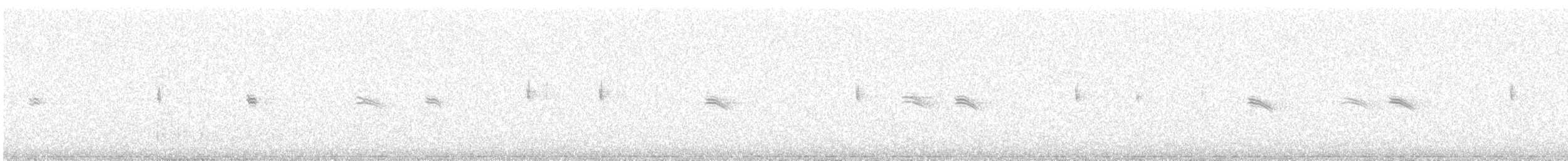 Berdantza kaskazuria - ML647748926