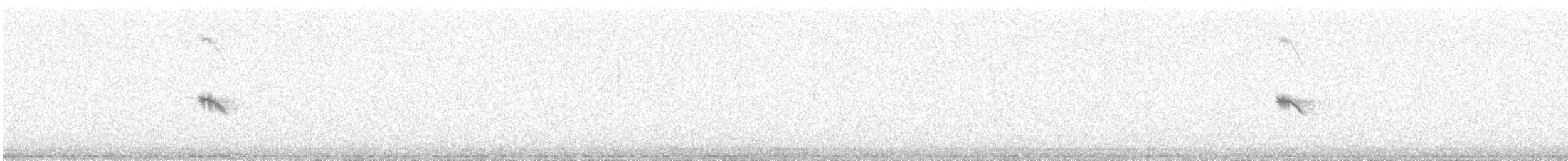 Berdantza kaskazuria - ML647748927