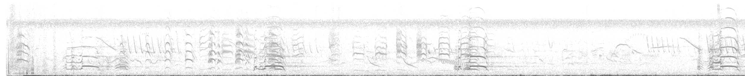 Чайя аргентинська - ML647749219