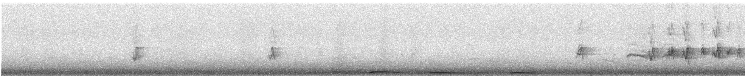 ナゲキバト - ML647749397