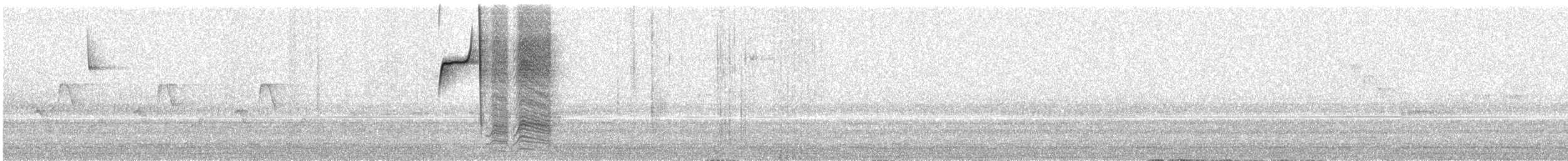 Американская гренадерка - ML647749405