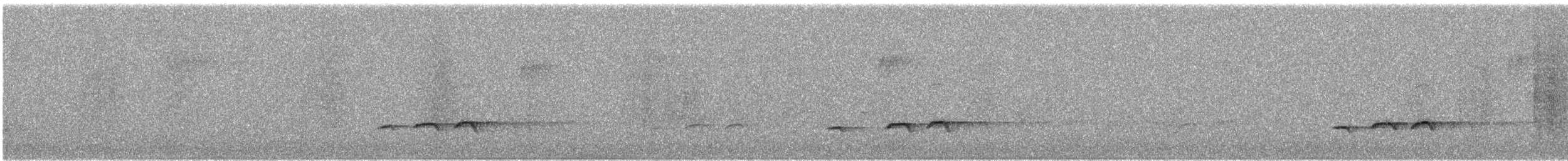 Американская гренадерка - ML647749406