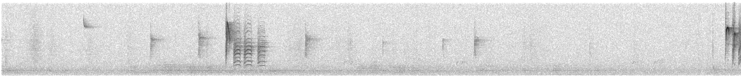 Каролинская гаичка - ML647749413