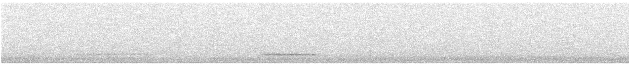 Сипуха західна - ML647749643