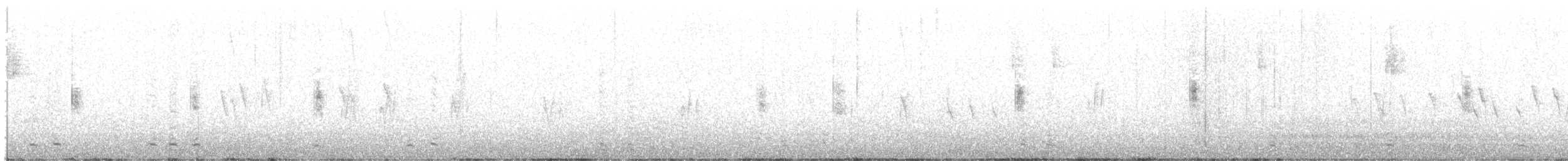 Cerceta Castaña - ML647750070