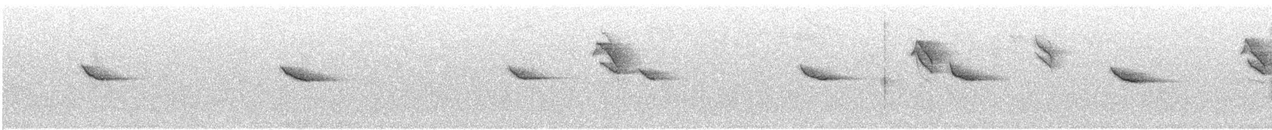 Carbonero Garrapinos (continental) - ML647750156