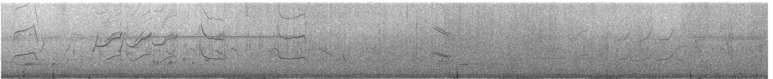 Black Sawwing - ML647750452