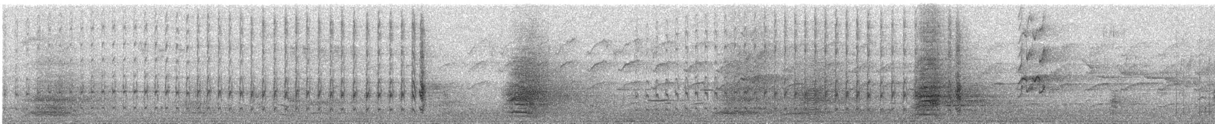 Carraca Oriental - ML647750455