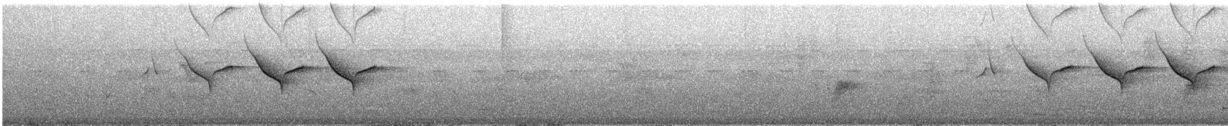 Escribano de Cabanis (Oriental) - ML647750495