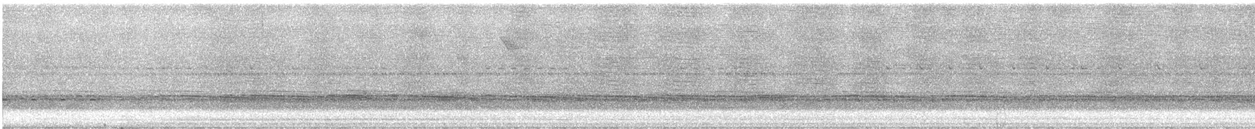 Cucarachero Pechihabano - ML647750757