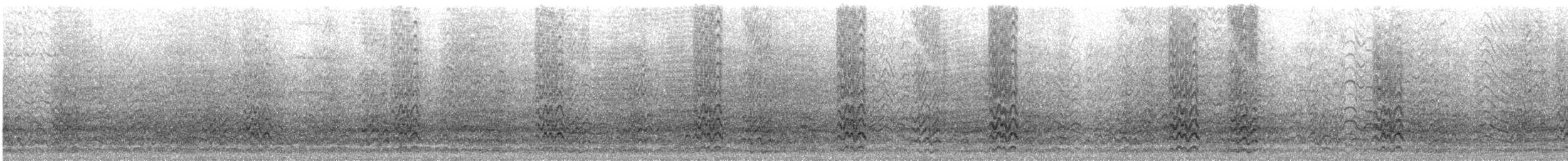 Long-billed Corella - ML647750785