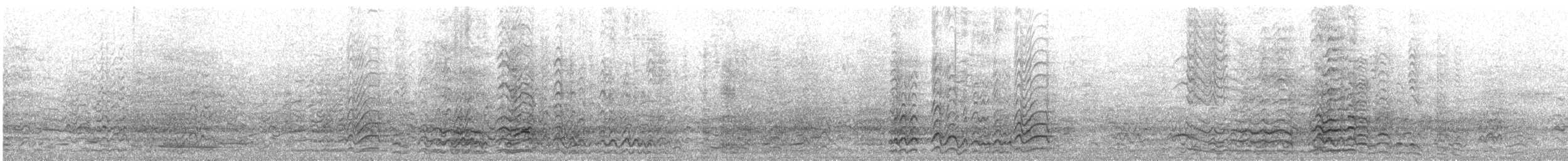 Cacatúa Picofina - ML647750787