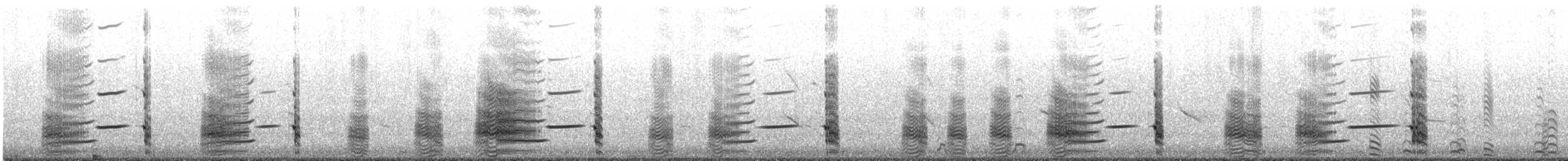 Ring-billed Gull - ML647750856