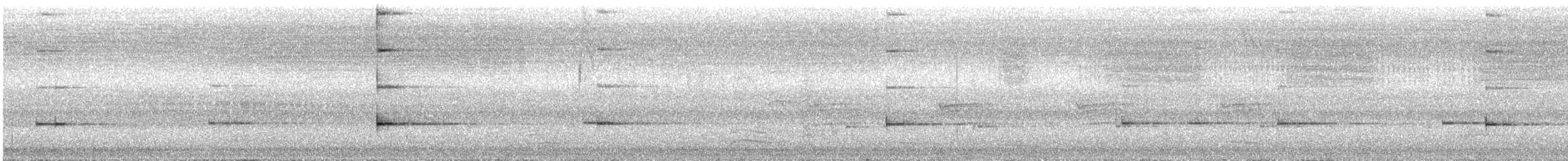 Mielero Cejinegro - ML647750896