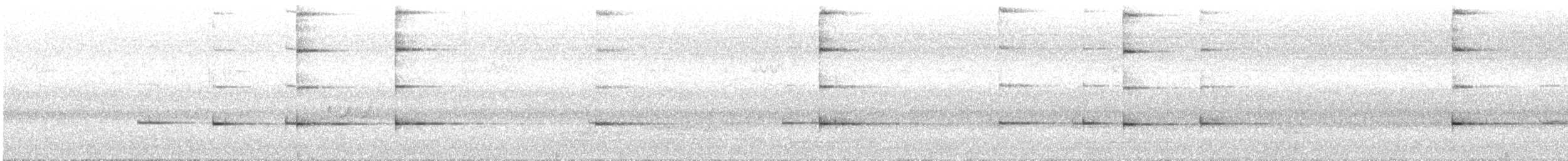 Mielero Cejinegro - ML647750897