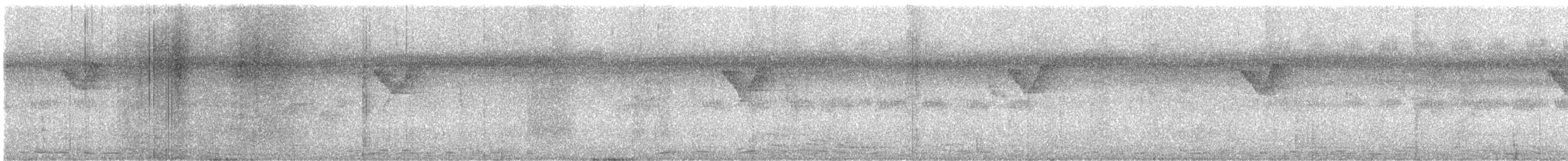 Mosquitero Bilistado - ML647750916