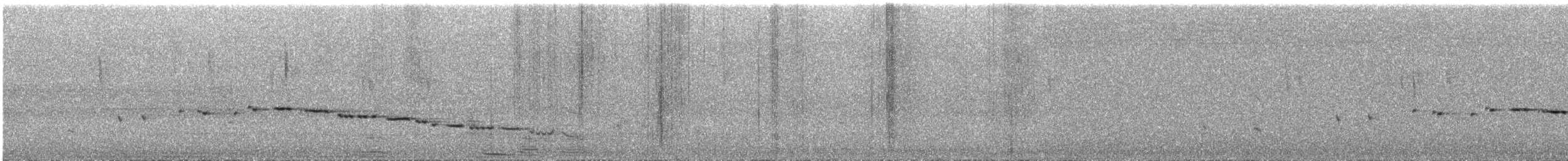 Gerigón Gorjiblanco - ML647750964