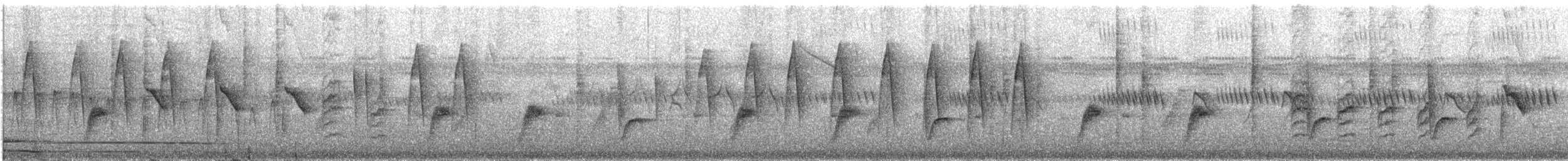 Prinia Modesta - ML647751017