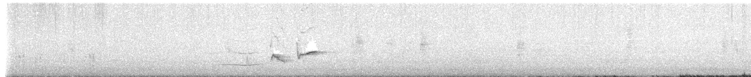 Bergseidensänger - ML647751645