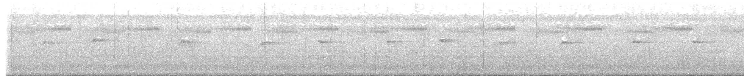 Вівчарик sp. - ML647751806