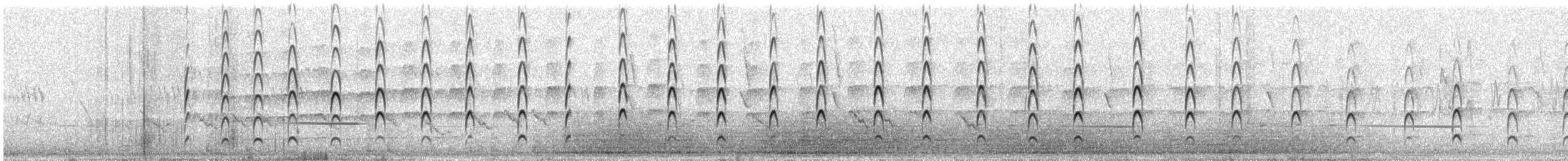 Hegabera ezproiduna - ML647753119