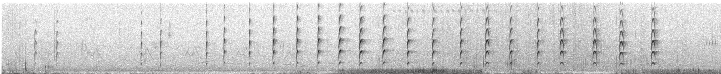 Hegabera ezproiduna - ML647753120