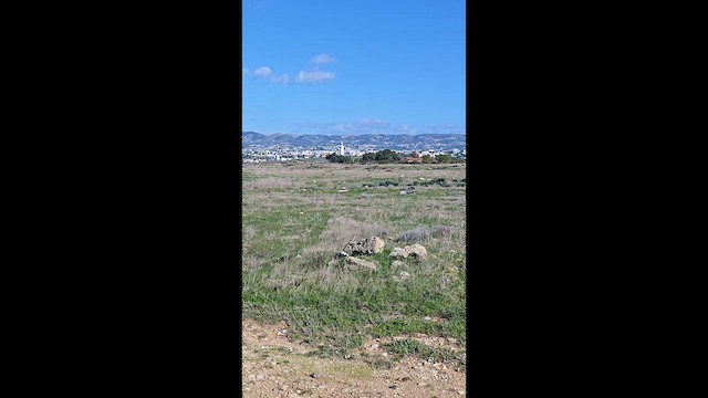 European Golden-Plover - ML647754228