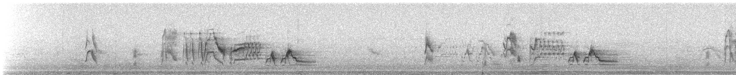 Grive à joues grises - ML647754244