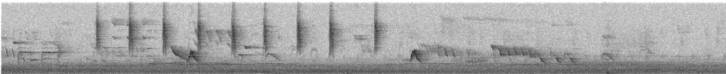 Glanz-Veilchenohrkolibri - ML647754694