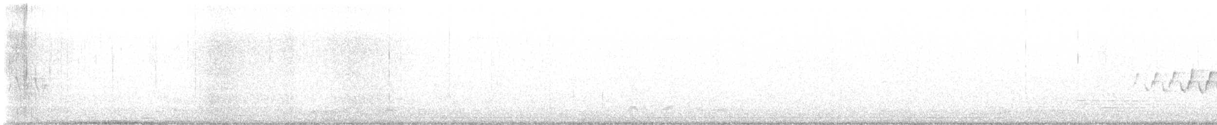 Pine Warbler - ML647754783