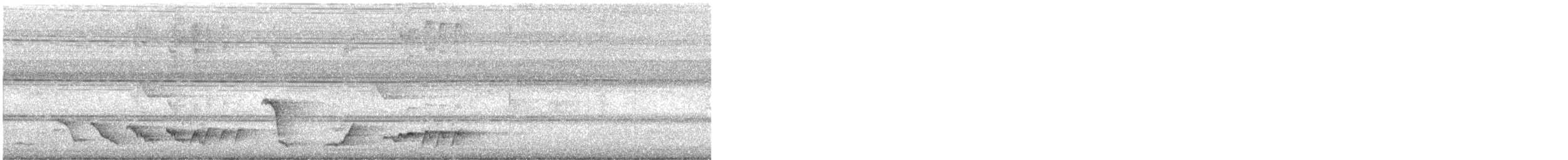 White-rumped Shama - ML647755145