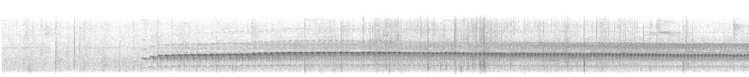 Santa Marta Tapaculo - ML647755279