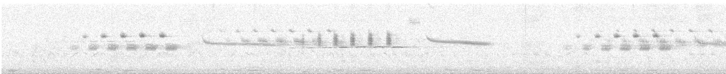 Bruant à calotte blanche - ML647755325