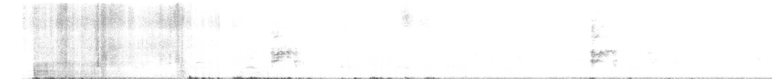 Échenilleur de Macé - ML647755375