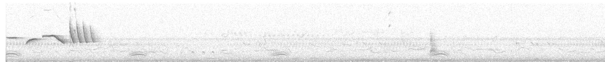 Bruant chingolo - ML647755450