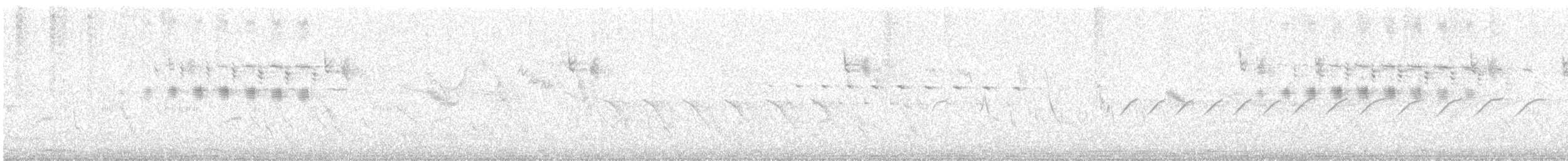 Bergeronnette des ruisseaux - ML647755518