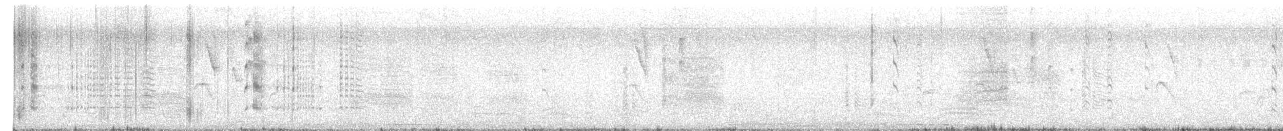 Talève à tête grise - ML647755553