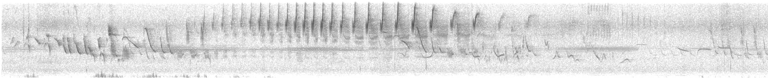 Sicale des savanes - ML647755610
