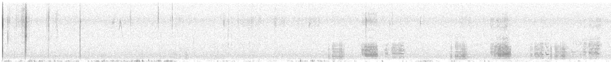 Flamant du Chili - ML647755688