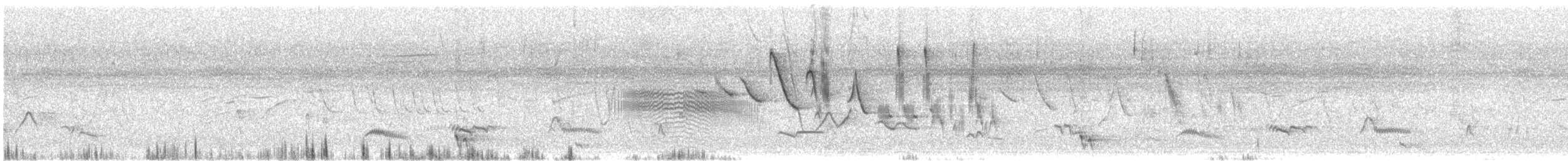 Tourco huppé - ML647755714