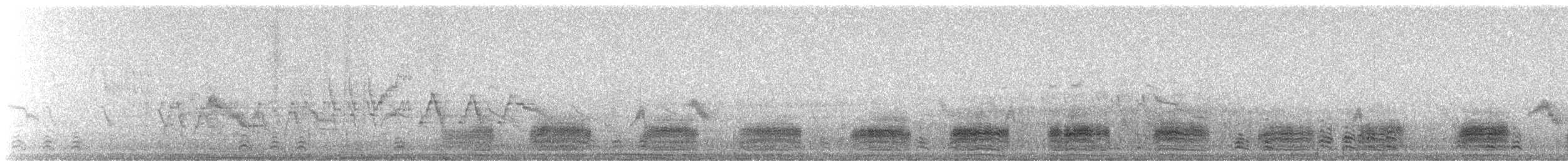 Canard colvert - ML647755835