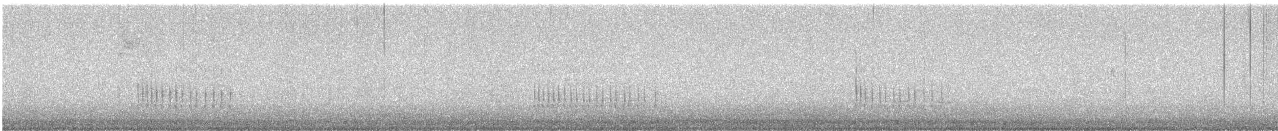 Belted Kingfisher - ML647755964